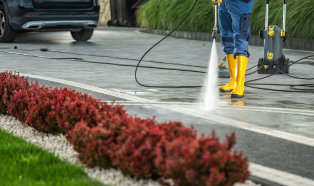 Best Sidewalk and Walkway Cleaning  in Oceana, WV